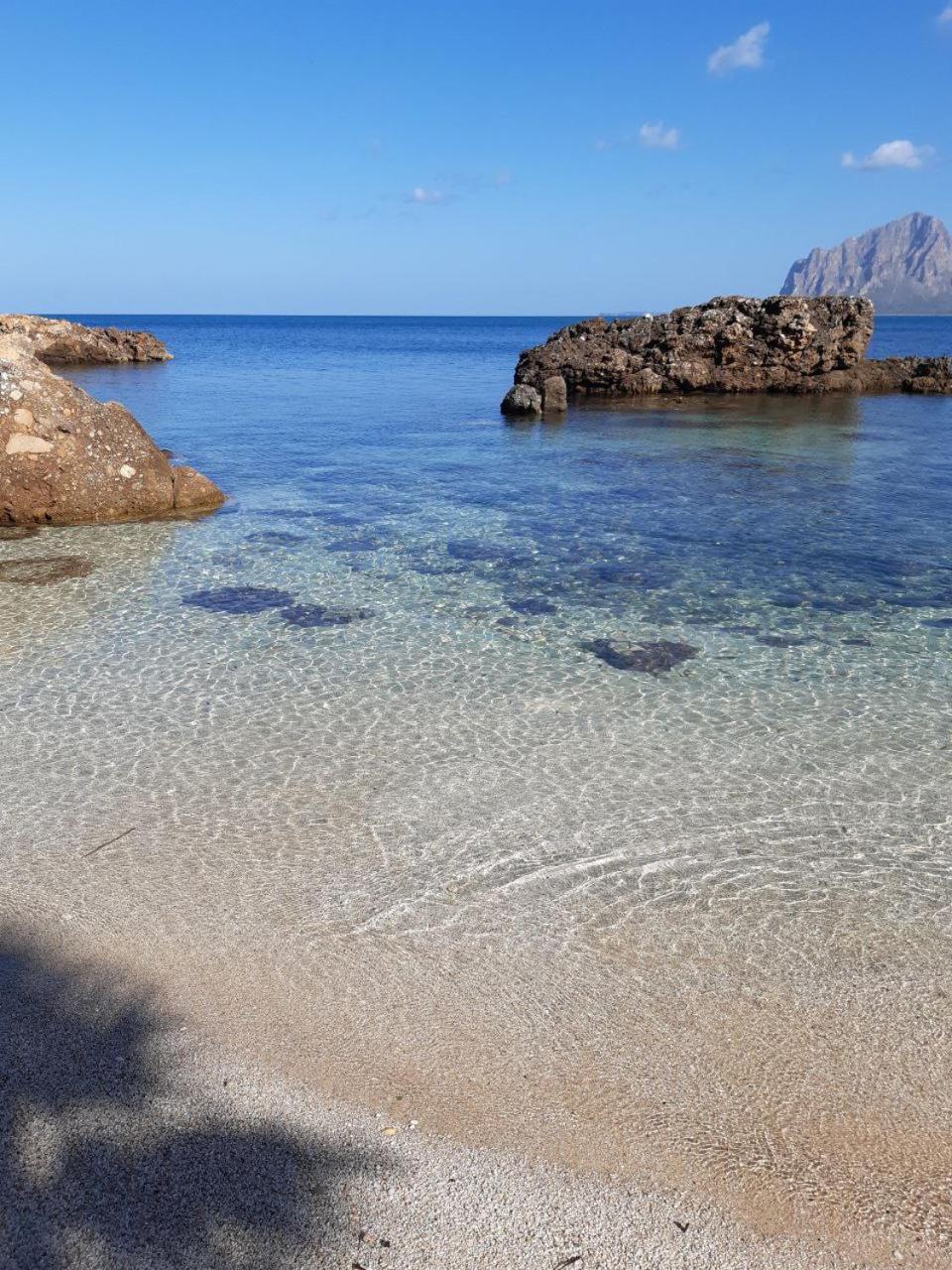 Il Colore Del Mare Apartamento *